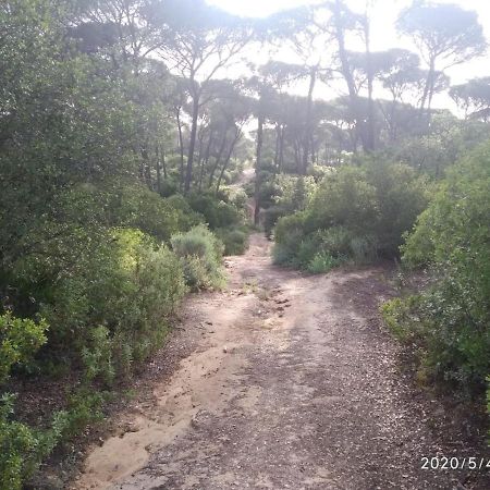 Casa Rural Los Pinos Hinojos Екстериор снимка