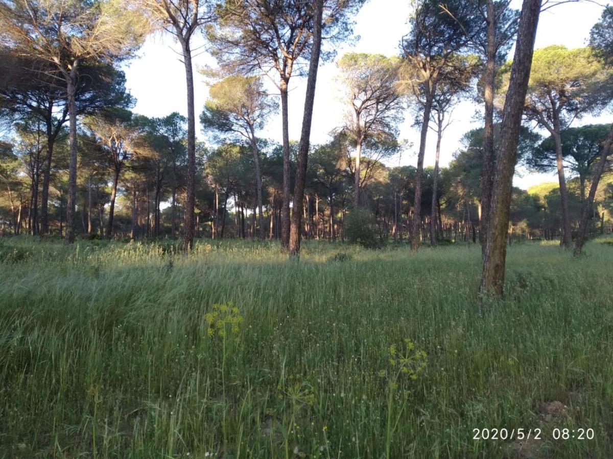 Casa Rural Los Pinos Hinojos Екстериор снимка