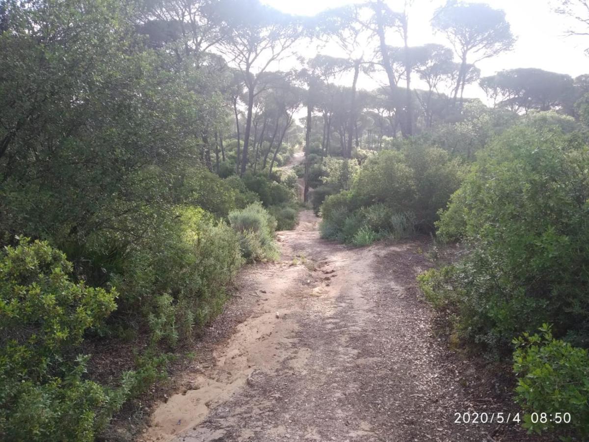Casa Rural Los Pinos Hinojos Екстериор снимка
